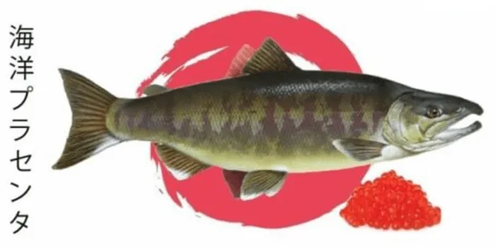 Bahan Marine Placenta